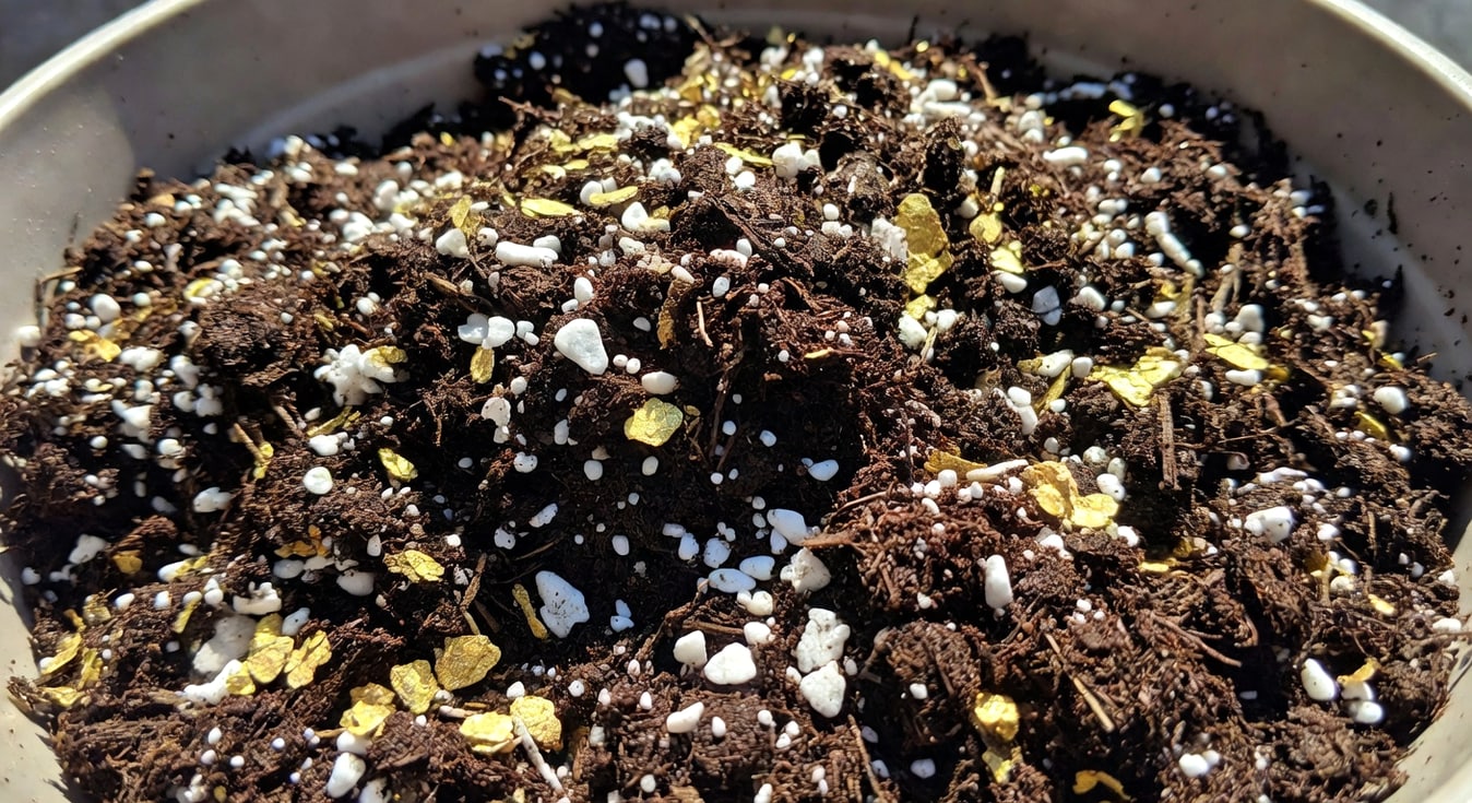 手持混合盆栽基質：白色珍珠岩、金色蛭石與深色泥炭土，自然光照射