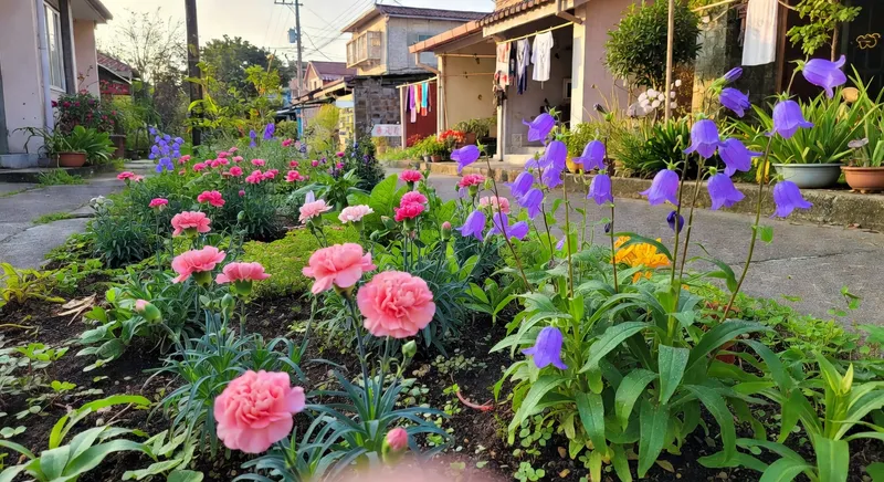春天必種的開花植物：讓花海佔領你的小花園
