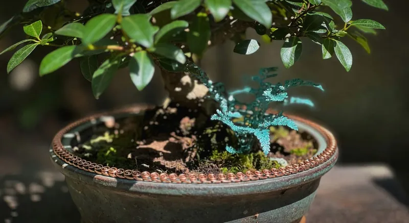 盆栽邊緣纏繞銅色金屬帶，保護綠色植物，對比鮮明