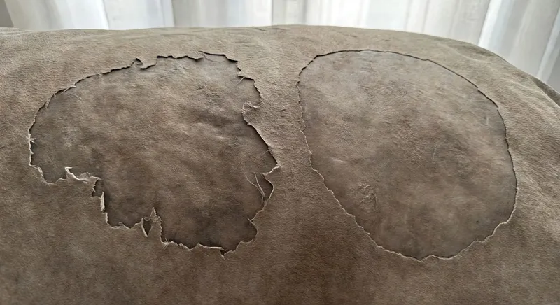 草坪問題診斷與解決：系統化的故障排除指南