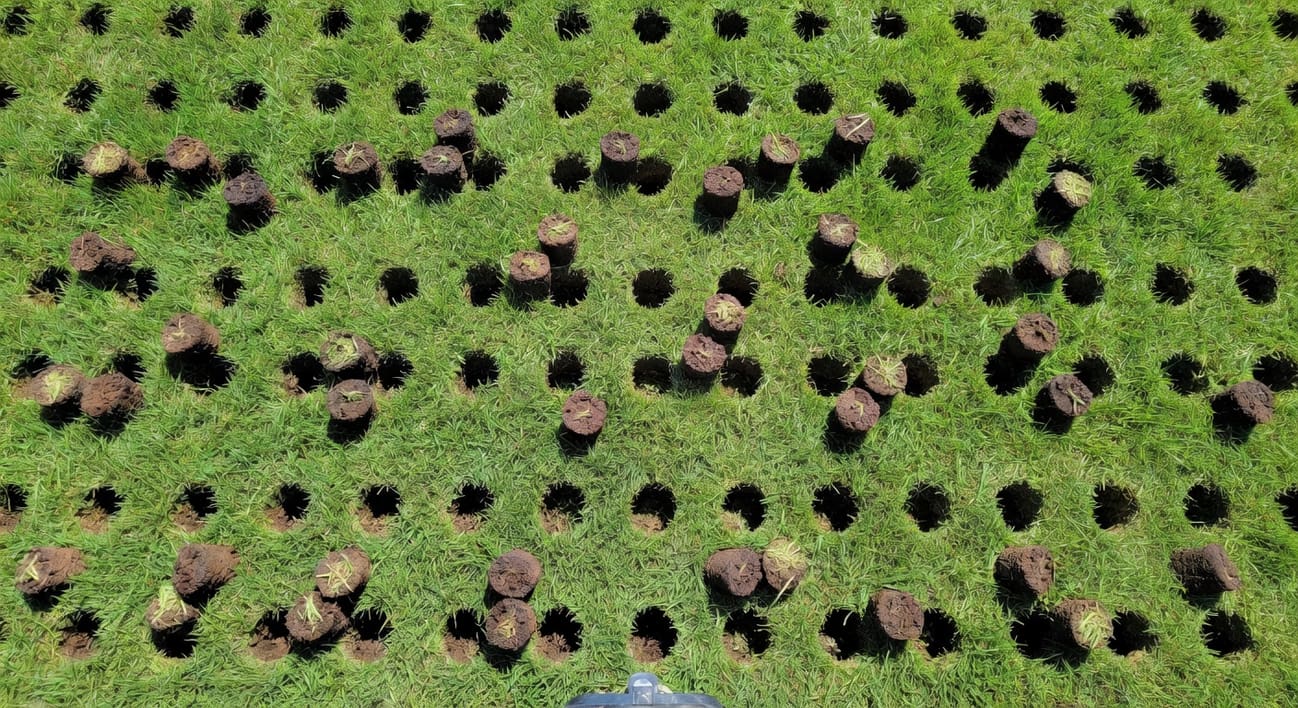 草坪通氣打孔的科學時機:為什麼打孔的時間比工具更重要