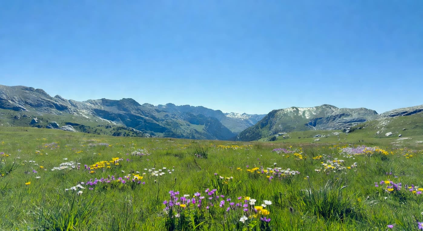 LED全光譜燈照射室內植物生長