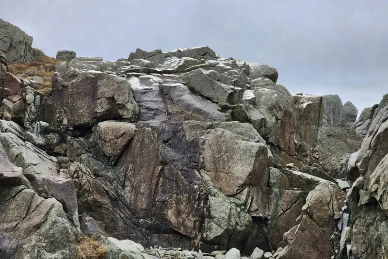 LED全光譜燈照射室內植物的補光效果