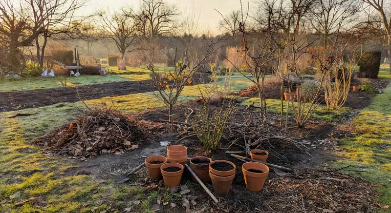 年終花園大整理清單：準備迎接新的生長季
