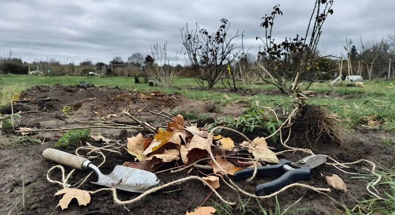 年終花園大清潔步驟，迎接下一個生長季