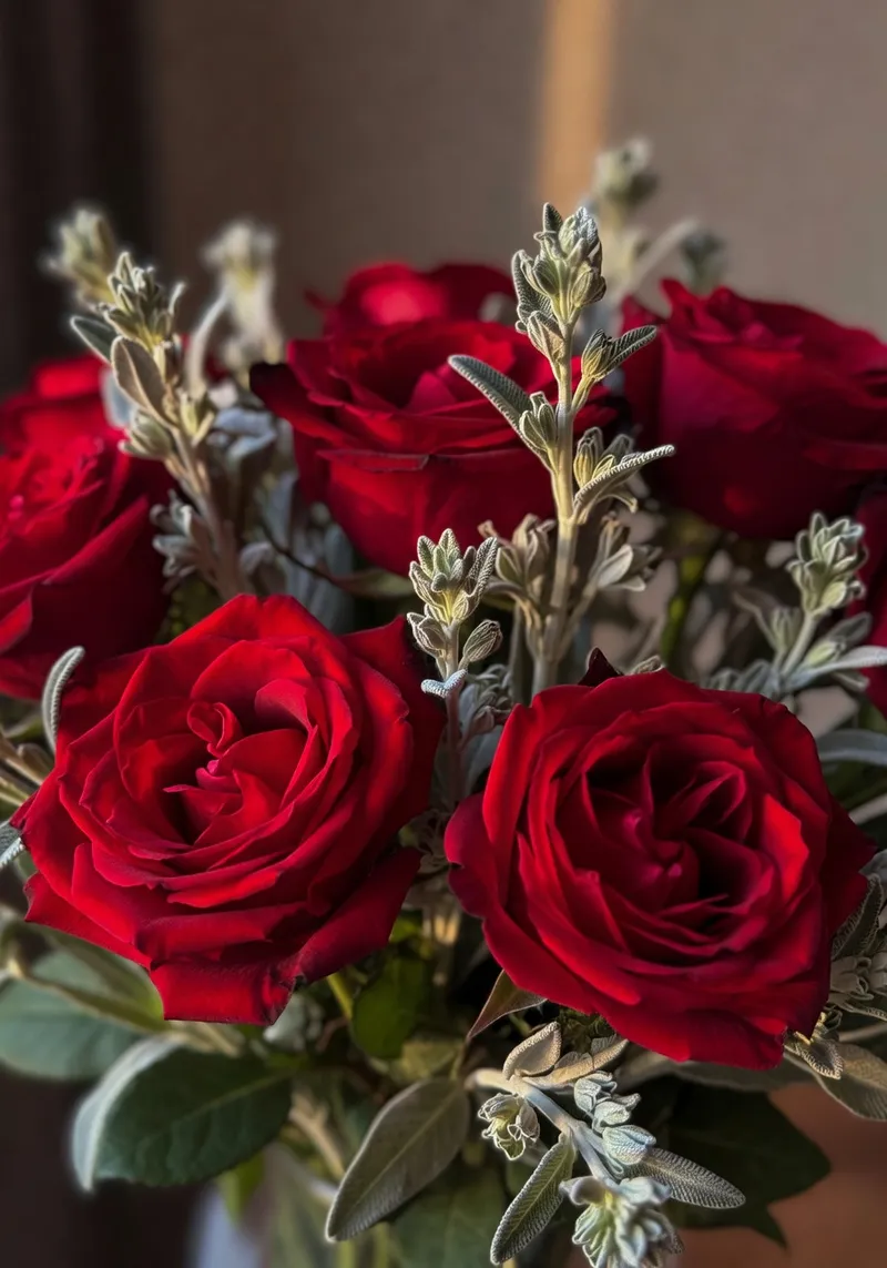 月季花園的色彩搭配